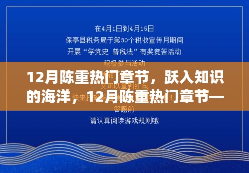 跃入知识海洋，成就自信之旅——陈重十二月热门章节盘点