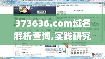 373636.com域名解析查询,实践研究解析说明_网页版15.233