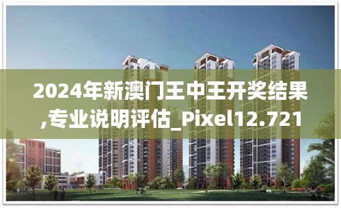 2024年新澳门王中王开奖结果,专业说明评估_Pixel12.721