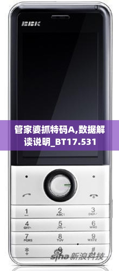 管家婆抓特码A,数据解读说明_BT17.531