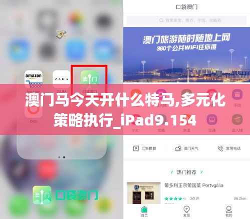 澳门马今天开什么特马,多元化策略执行_iPad9.154