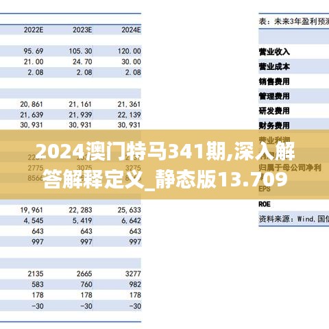 2024澳门特马341期,深入解答解释定义_静态版13.709