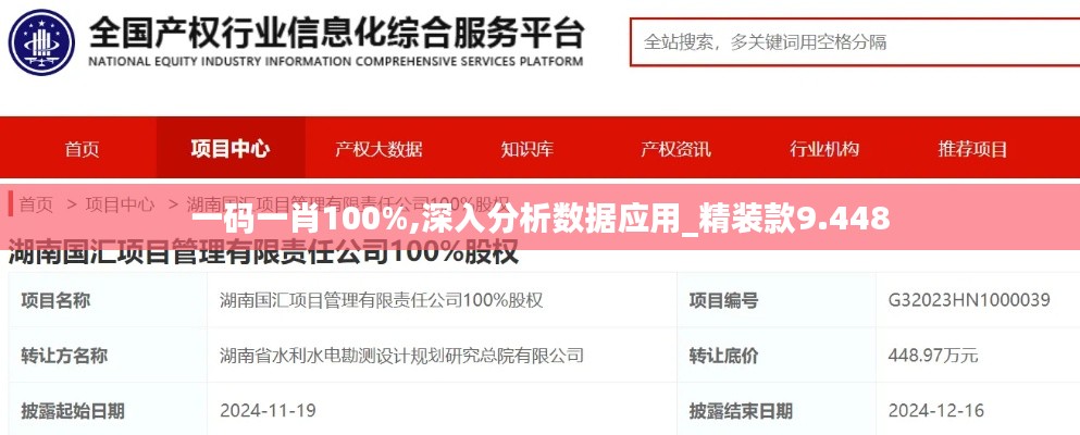 一码一肖100%,深入分析数据应用_精装款9.448