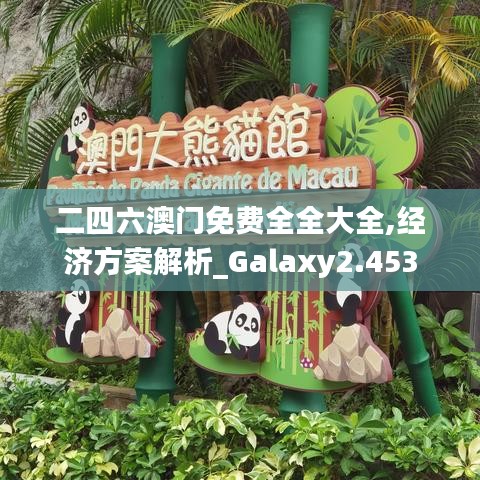 二四六澳门免费全全大全,经济方案解析_Galaxy2.453