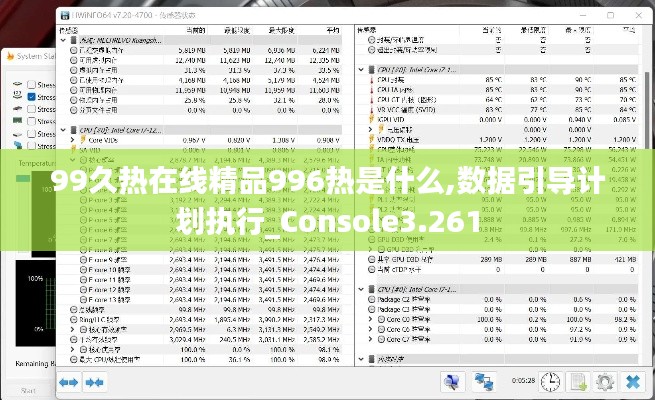 99久热在线精品996热是什么,数据引导计划执行_Console3.261