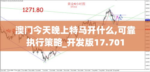 澳门今天晚上特马开什么,可靠执行策略_开发版17.701