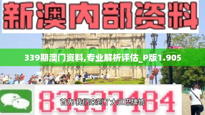 339期澳门资料,专业解析评估_P版1.905