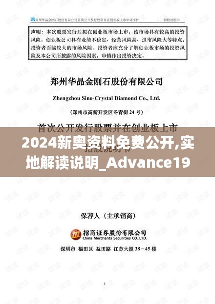 2024新奥资料免费公开,实地解读说明_Advance19.430