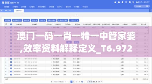 澳门一码一肖一特一中管家婆,效率资料解释定义_T6.972