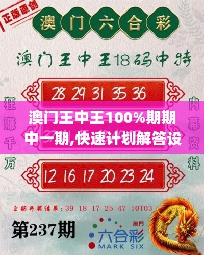 澳门王中王100%期期中一期,快速计划解答设计_10DM7.732