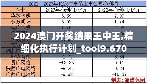 2024澳门开奖结果王中王,精细化执行计划_tool9.670