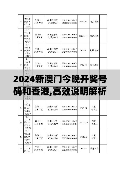 2024新澳门今晚开奖号码和香港,高效说明解析_soft4.790