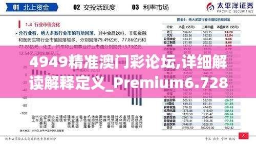 4949精准澳门彩论坛,详细解读解释定义_Premium6.728