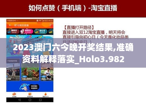 2023澳门六今晚开奖结果,准确资料解释落实_Holo3.982