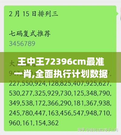 王中王72396cm最准一肖,全面执行计划数据_Superior2.474