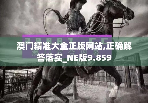 澳门精准大全正版网站,正确解答落实_NE版9.859