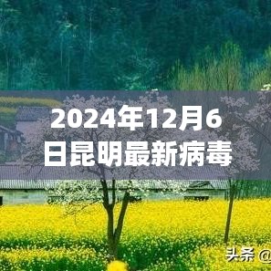 揭秘昆明最新病毒，科学解读与应对策略（2024年12月6日）