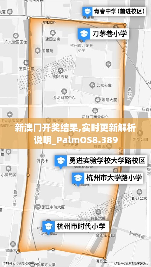 新澳冂开奖结果,实时更新解析说明_PalmOS8.389