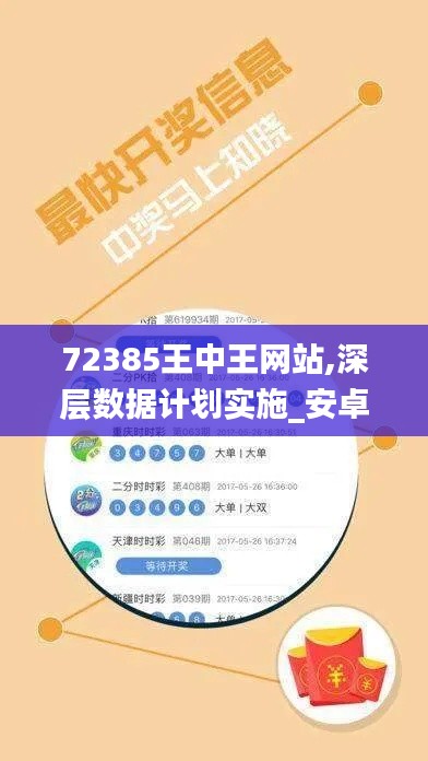 72385王中王网站,深层数据计划实施_安卓7.814