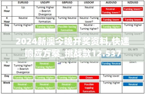 2024新澳今晚开奖资料,快速响应方案_挑战款12.537