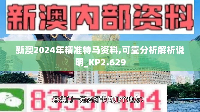 新澳2024年精准特马资料,可靠分析解析说明_KP2.629