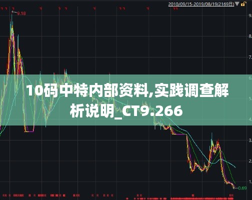 10码中特内部资料,实践调查解析说明_CT9.266