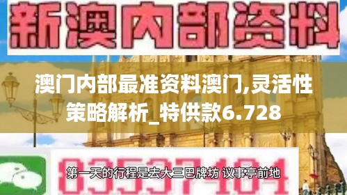 澳门内部最准资料澳门,灵活性策略解析_特供款6.728