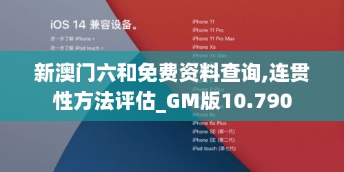 新澳门六和免费资料查询,连贯性方法评估_GM版10.790