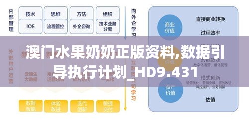 澳门水果奶奶正版资料,数据引导执行计划_HD9.431