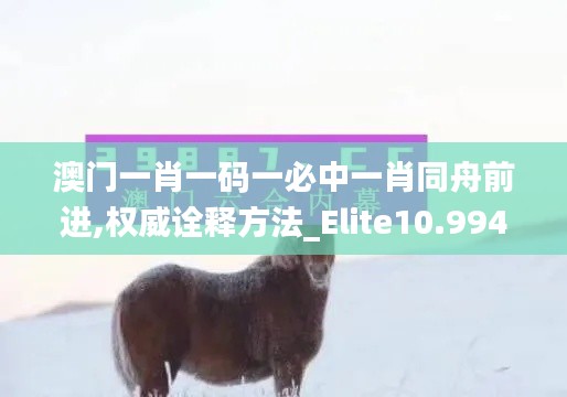 澳门一肖一码一必中一肖同舟前进,权威诠释方法_Elite10.994