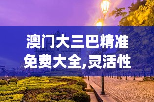 澳门大三巴精准免费大全,灵活性计划实施_The1.664