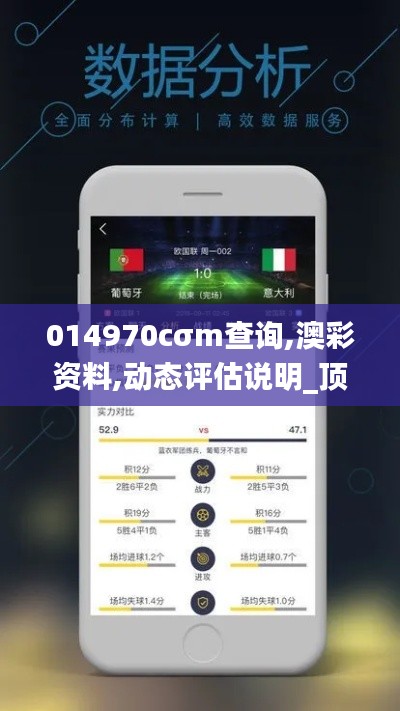 014970cσm查询,澳彩资料,动态评估说明_顶级款10.940