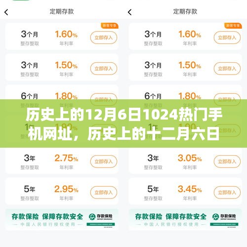 历史上的十二月六日，探索1024热门手机网址的变迁与影响