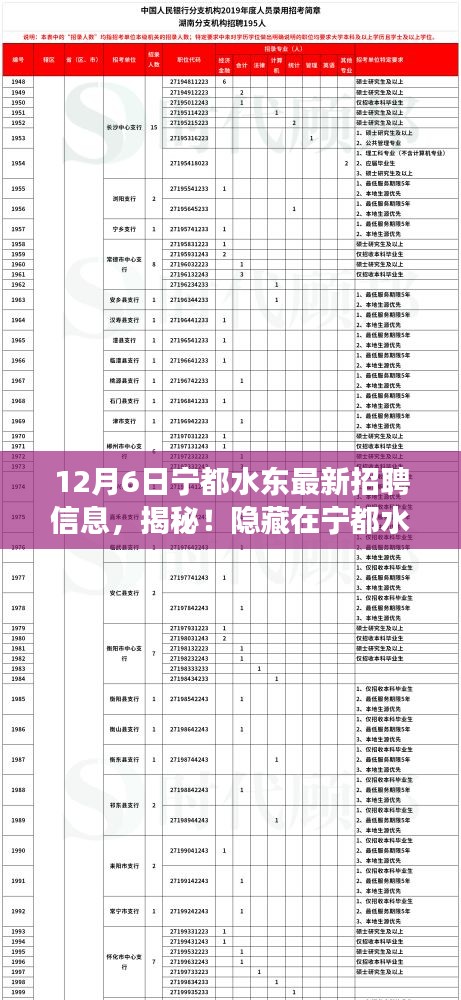 宁都水东最新招聘信息揭秘，小巷里的梦幻工作机遇大解密（12月6日）