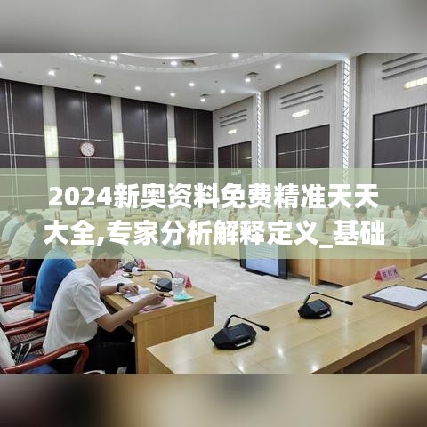 2024新奥资料免费精准天天大全,专家分析解释定义_基础版3.104