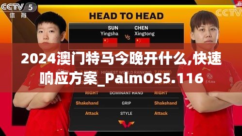 2024澳门特马今晚开什么,快速响应方案_PalmOS5.116