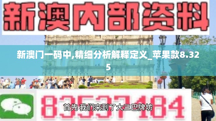 新澳门一码中,精细分析解释定义_苹果款8.325