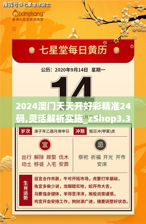 2024澳门天天开好彩精准24码,灵活解析实施_zShop3.339