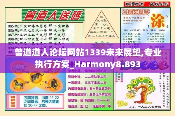 曾道道人论坛网站1339未来展望,专业执行方案_Harmony8.893