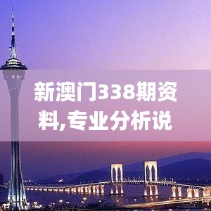 新澳门338期资料,专业分析说明_储蓄版9.319