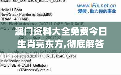 澳门资料大全免费今日生肖亮东方,彻底解答解释落实_进阶版3.123