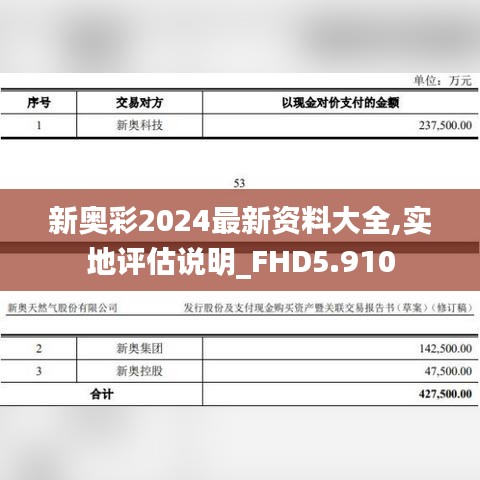 新奥彩2024最新资料大全,实地评估说明_FHD5.910