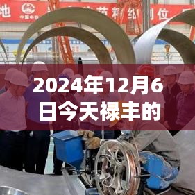 🌟2024年禄丰火灾最新动态报告，火灾现场情况更新🌟