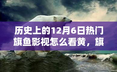 历史上的十二月六日，旗鱼影视里的温馨时光与美好共享，共赏美好时刻