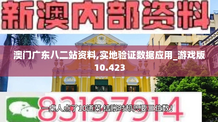 澳门广东八二站资料,实地验证数据应用_游戏版10.423