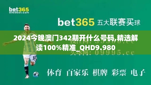 2024今晚澳门342期开什么号码,精选解读100%精准_QHD9.980