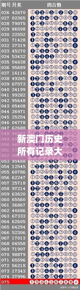 2024年12月8日 第74页