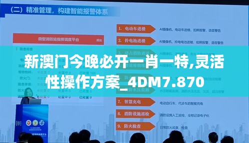 新澳门今晚必开一肖一特,灵活性操作方案_4DM7.870