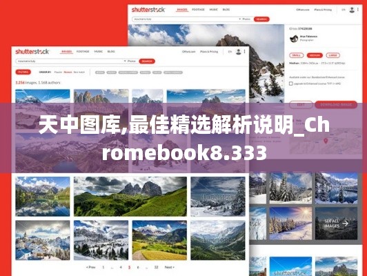 天中图库,最佳精选解析说明_Chromebook8.333