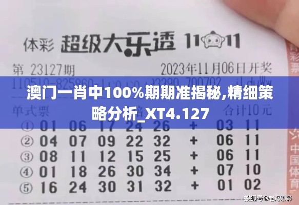 澳门一肖中100%期期准揭秘,精细策略分析_XT4.127